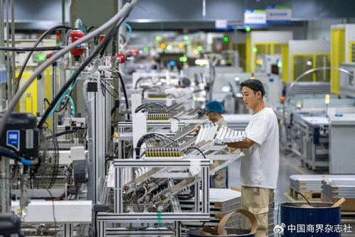 第四季度经济金融展望 恢复向好趋势不变，技术服务成关键引擎